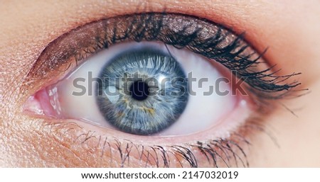 I see the future. Closeup beauty shot of a young womans eye.