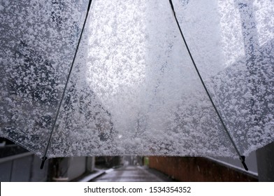 See Through Snow On Vinyl Umbrella            