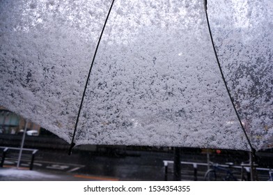 See Through Snow On Vinyl Umbrella            