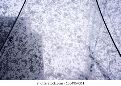 See Through Snow On Vinyl Umbrella            