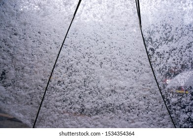 See Through Snow On Vinyl Umbrella            