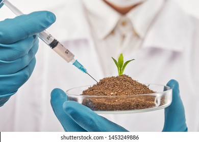 Seed Growing In A Lab Cup With Catalyst