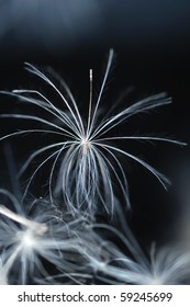 seed macro