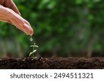 seed and planting concept with Male hand watering young tree on ground over green background. He plants trees for the future. To reduce global warming.