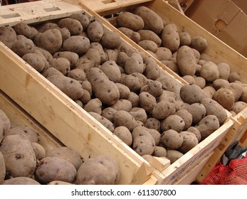 Seed Potatoes - In Bins At The Garden Center