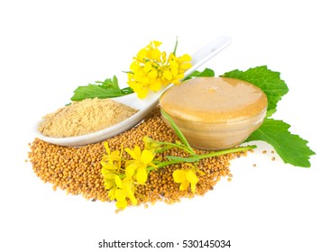 Seed. Powder. Flowers. Leaves And Ready Mustard. Isolated On White Background