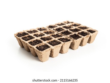 Seed Starter Pot Tray With Celery Seeds In Potting Soil. Biodegradable Paper Plant Starter Kit For Window Sil Or Greenhouse. Tango Celery Seeds Known As Apium Graveolens. Selective Focus. Isolated.