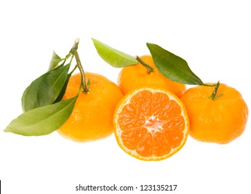 Seedless Satsuma Mandarin (Citrus Unshiu)