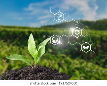 Seedling growing from fertile soil with bio illustration