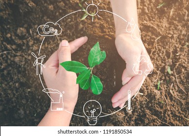 Das aus fruchtbarem Boden angebaute Saatgut wurde sanft mit Händen umschlossen, die das Symbol für das Recycling, das Konzept des Umweltschutzes und den Schutz unserer Welt nachhaltig zeigen.