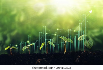 Seedling are growing from the rich soil with  business arrow of growth.Concept of business growth, profit, development and success.	 - Shutterstock ID 2084119603