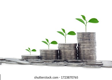 Seedling growth on coins stack are show growing money, save, better life, financial and retire for the future isolated on white background. - Shutterstock ID 1723870765