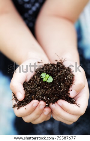 Similar – Image, Stock Photo Dirty boy hands holding small young herbal sprout plant