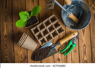 Seedlings And Garden Tools On A Wooden Surface, Top View