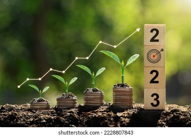 Seedlings are growing on the Coins stack with cubes with text 2023 .business growth, profit, and success Development to achieve the 2023 target. Strategic planning coupled with environmental 