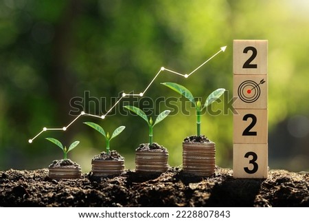 Seedlings are growing on the Coins stack with cubes with text 2023 .business growth, profit, and success Development to achieve the 2023 target. Strategic planning coupled with environmental 
