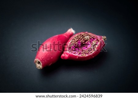 Seedpod of Gymnocalycium cactus isolated on black background. Ripe red cactus fruits has cracked and visible seeds inside. Empty blank copy text space.