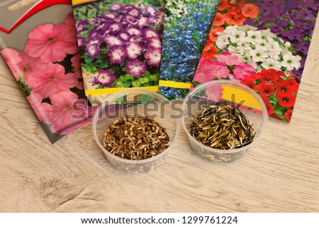 Seeds of annual flowers in bags and in bulk in jars lie on a woodensurface