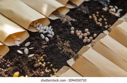 Seeds in bags on the soil. Selective focus. Nature. - Shutterstock ID 2094350710
