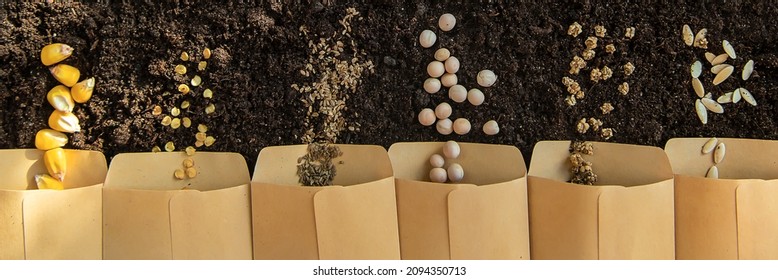 Seeds in bags on the soil. Selective focus. Nature. - Shutterstock ID 2094350713