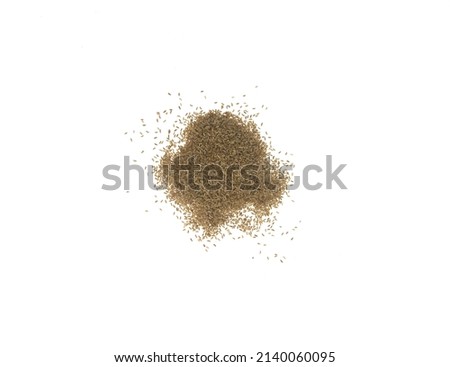 Seeds of Chamaemelum nobile,  chamomile, Roman chamomile, English chamomile, garden chamomile, mother's daisy or whig plant, ornamental and medicinal, on white background