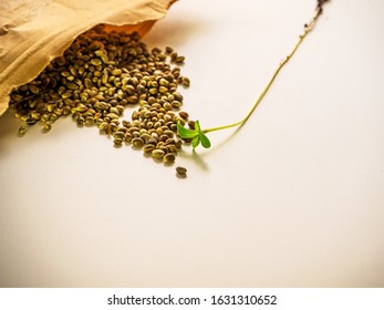 Seeds on the white surface. Cannabis, marijuana, legal light drugs prescribe, alternative remedy. Hemp seeds. Top view For desktop, wallpapers, banner. Copy space, text box. Cannabis Growing Concept