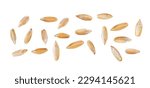 Seeds of rye isolated on a white background, top view. Rye grains.