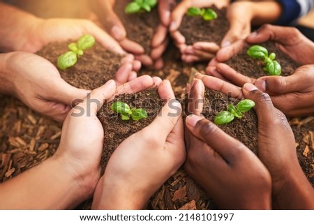 From seeds to trees. Cropped shot of a group of people holding plants growing out of soil.