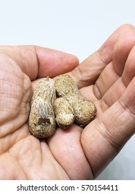 Seeds of  tropical fruit, Rambutan - Shutterstock ID 570154411