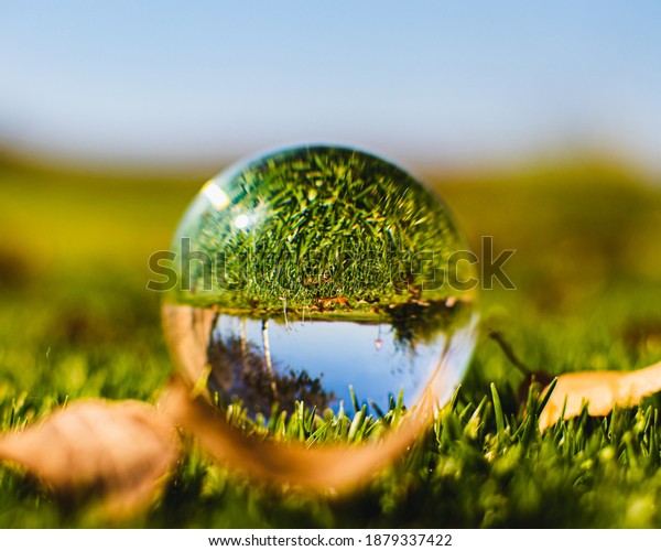 Seeing the green\
grass and sky  flipped upside down through a photography lens ball\
lying next to brown\
leaves