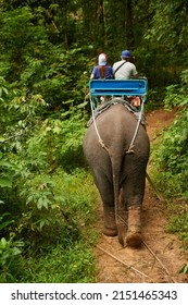 Seeing The Jungle In A New Way. Rearview Shot Of An Elephant With A Group Of Tourists Riding On Its Back.