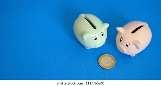 Seek Financial Planning Help. Get Financial Check Up From Professional. Addressing Sense Of Resilience. Piggy Banks Looking At Same Euro Coin, Copy Space. Help Alleviate Concerns Future Wellbeing.