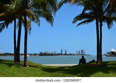 Seeking Shadow In Miami Heat Florida