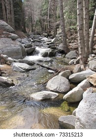 Seeley Creek Near Lake Arrowhead, CA