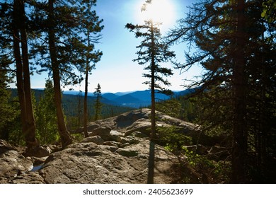 A seemingly endless mountain scene framed by tall, skinny pines with a lookout point between.  The bright mid-day sun beams above.