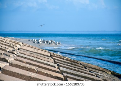 Seen With A Blurred Background, , This Break Wall On A Beach In Tampa Bay, Florida, Was Installed To Help Reduce Storm Erosion And Suggests Rising Sea Levels And Climate Change Denial.