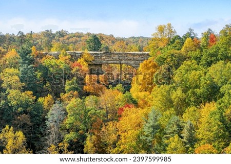 Seen from Lookout Point atop Battleship Rock, surrounded by colorful autumn leaves, a large rock arch is the geologic centerpiece of Natural Bridge State Park in the Red River Gorge area of Kentucky.