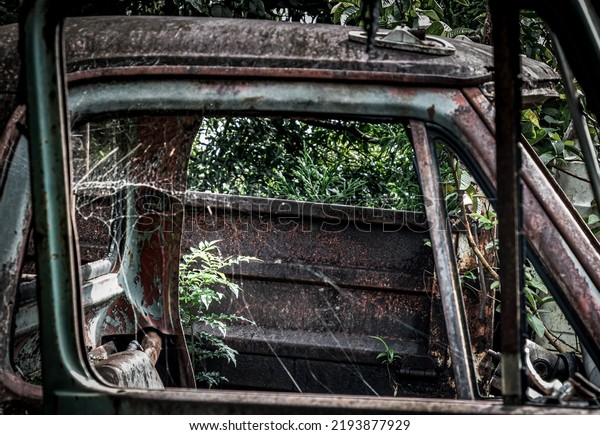 Seen from outside the car through the\
old window of old vintage car window framed blank space. Abandoned\
truck car in the forest. Selective\
focus.