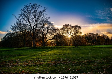 Sefton Park In The Autumn Sun