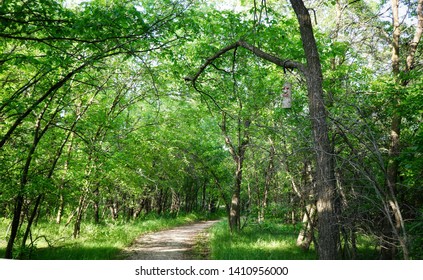 Seine River Trail, Winnipeg, Manitoba, Canada