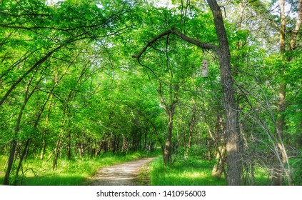 Seine River Trail, Winnipeg, Manitoba, Canada