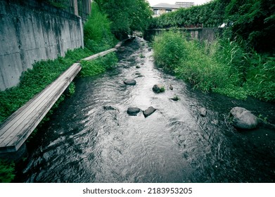 Seiryu Genbei River, Mt. Fuji Spring Water