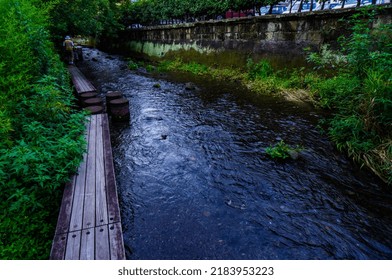 Seiryu Genbei River, Mt. Fuji Spring Water