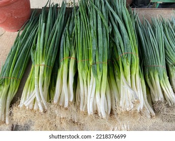 Selected Focus For Fresh Scallions