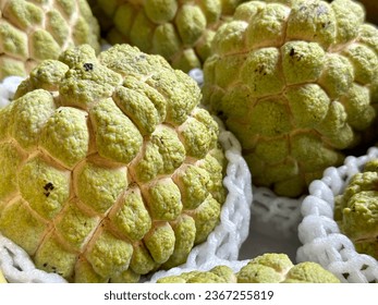 Selected focus for sugar apple - Shutterstock ID 2367255819