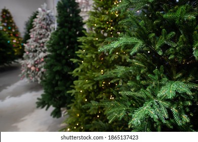 Selection Of Artificial Christmas Trees In The Store