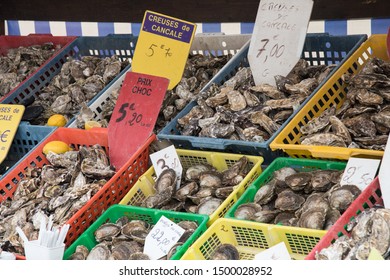 Selection Of Oysters From The Oyster Farm In Normandy, Farm