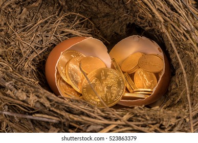 Selection Of Pure Gold USA Treasury Coins In Broken Egg Shells In Twig Bird Nest Illustrating Financial Security Of A Retirement Nest Egg