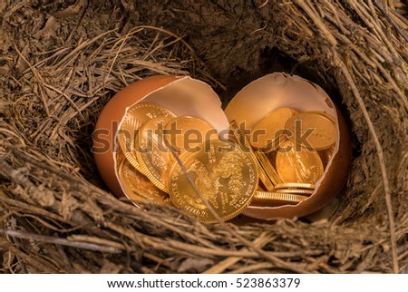 Selection of pure gold USA treasury coins in broken egg shells in twig bird nest illustrating financial security of a retirement nest egg