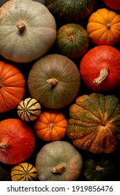 A selection of winter squash and pumpkin shot from overhead